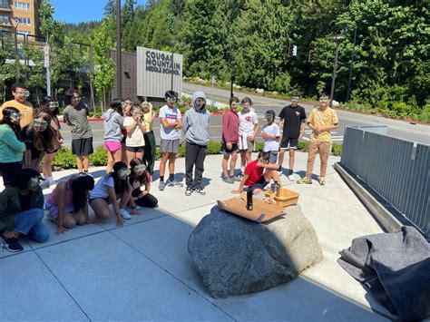 Seventh Grade Science Space Studies News Article Cougar Mountain