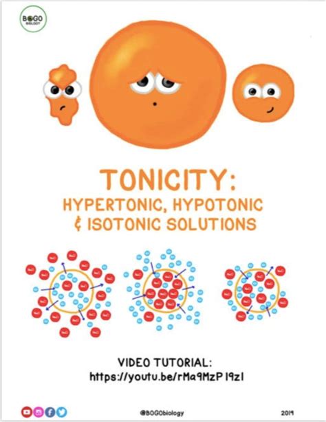 Hypertonic Hypotonic And Isotonic Solutions Guided Notes Etsy