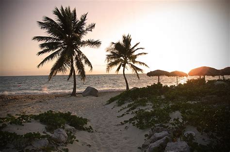 file tropical beach sunset wikimedia commons