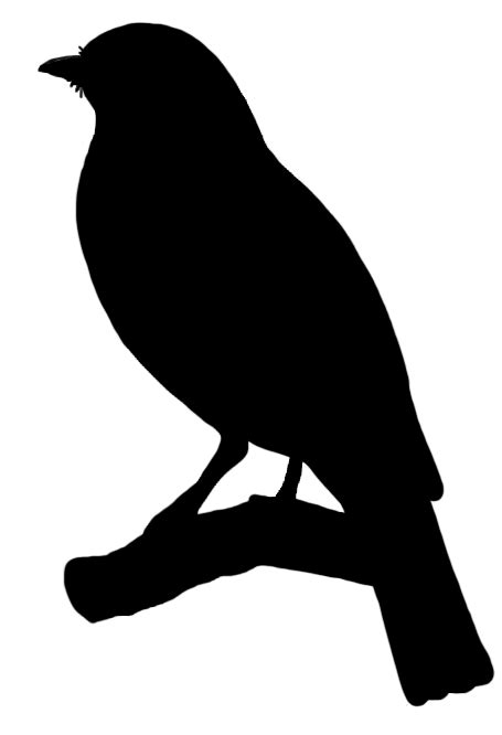 Songbird Silhouette Drawing Silhouette Birds Png Download 455666
