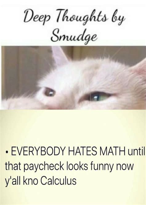 Pin By Michelle Stewart On Smudge The Cat Funny Quotes Workplace