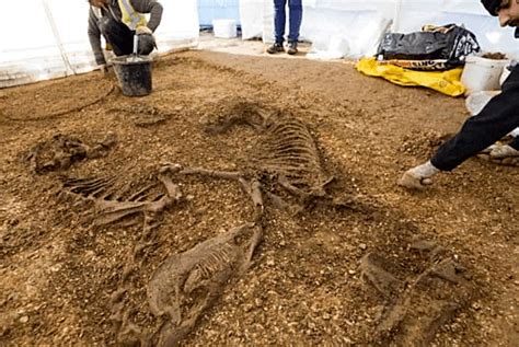 Ancient Celtic Warrior Grave With Horse Chariot And Rider Found In Uk