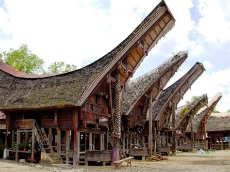 Tongkonan adalah rumah adat orang toraja yang merupakan tempat tinggal kekuasaan adat dan perkembangan kehidupan sosial budaya orang toraja. Arsitektur dan Ciri Khas Rumah Adat Toraja beserta Gambarnya