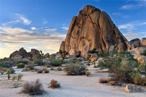 Best Picture Of Joshua Tree National Park Picture Of San Bernardino