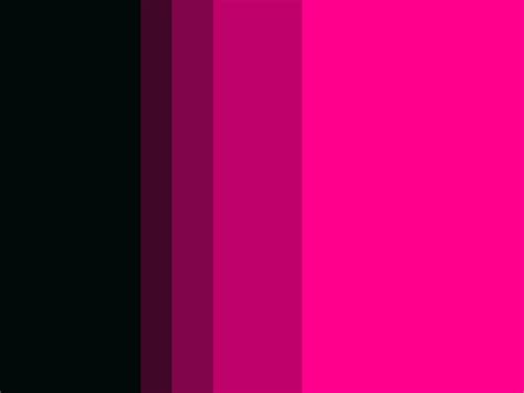 Palette Black To Neon Pink Color Palette Pink Pink Color Schemes