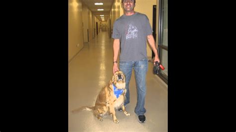 The barkley pet hotel and day camp is northeast ohio's #1 pet care destination for dogs and cats. Last Comic Standing Comedian Jon Heffron at The Barkley ...