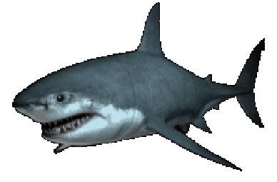 Fish GIF Stickers - Find & Share on GIPHY