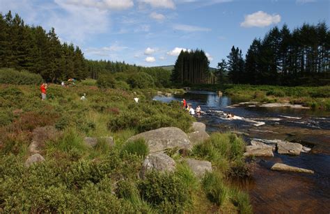 Hidden Scotland The Otter Pool Galloway Forest Park Walking Scotland