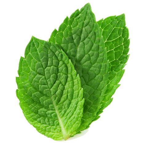 Peppermint Png Transparent Images Png All