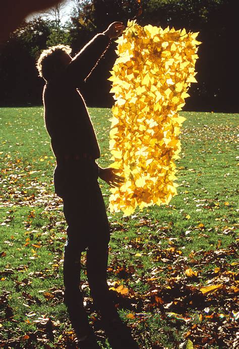 Andy Goldsworthy Rediscovering A Spirit Of Freedom — Sojourn Arts