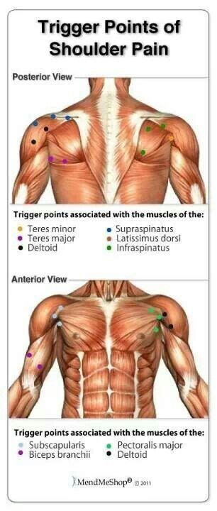 Trigger Points Of Shoulder Pain Massage Therapy And Bodywork Pinter…