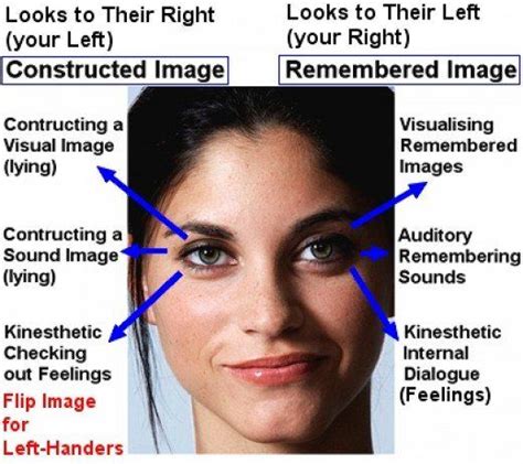 the movement pattern of eyes can be interpreted lying eyes signs of lying psychology facts