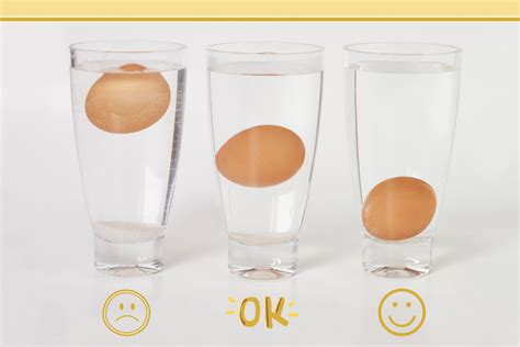 Egg Float Test How To Tell If An Egg Is Bad Goodto