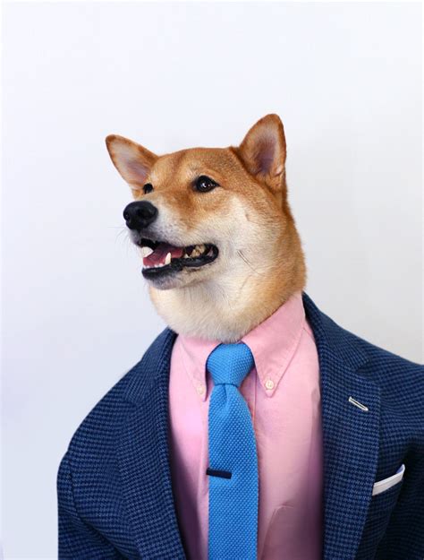 Exclusive First Look Menswear Dog X The Tie Bar Mensweardog Menswear