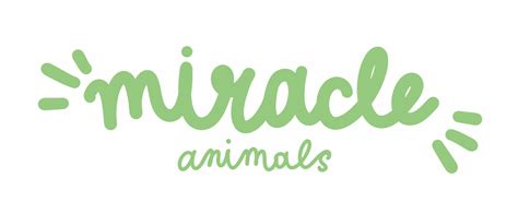 Miracle Animals Illustrations On Behance