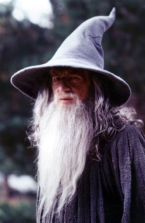 Gandalf The Grey The Lord Of The Rings A Wizard Is Never Late Nor