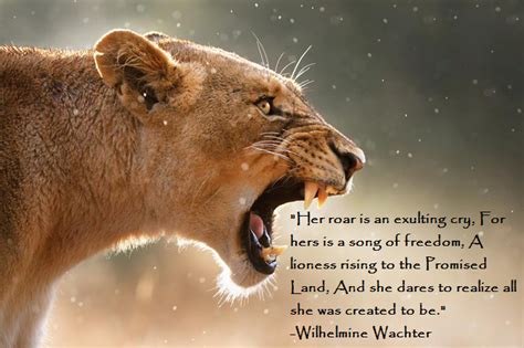 Lion And Lioness Love Quotes Quotesgram