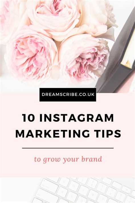 10 Instagram Marketing Tips To Grow Your Business Dream Scribe