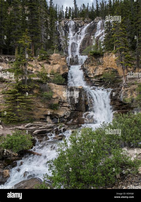 Tangle Creek Falls Icefields Parkway Alberta Canada Stock Photo Alamy