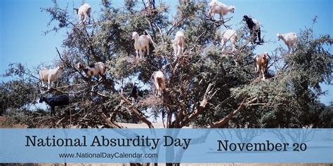 National Absurdity Day November 20 Natural Wonders The Wonders Farm