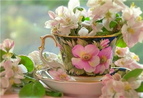 Just Magical Cup Flowers Bonito Tea Hd Wallpaper Peakpx