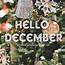 Christmas Tree Hello December Quote Pictures Photos And Images For 