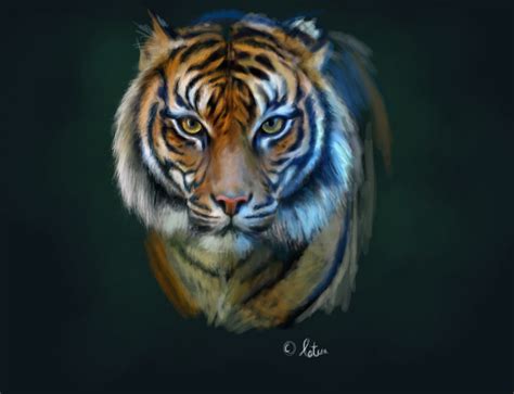 Tiger Painted With Photoshop Source File From Flickr Flickr