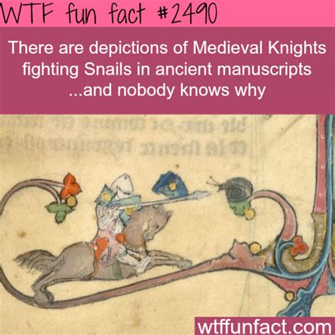 Medieval Knights Fighting Snails Wtf Fun Facts True Facts Funny Facts