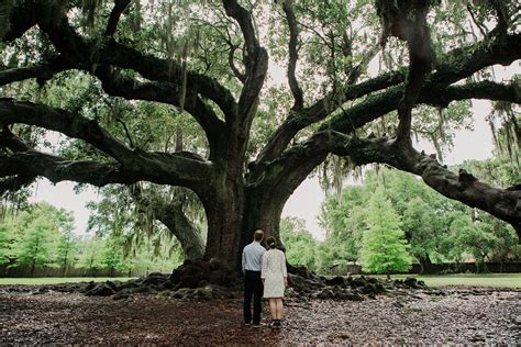 Check spelling or type a new query. Tree of Life in Audubon Park brings everyone to silence ...