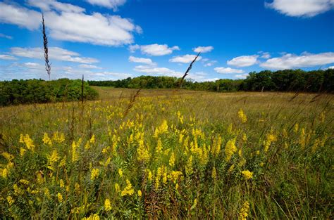 25 Stunning Prairie Photos Thatll Make You Want To Move To The Midwest