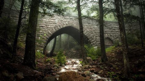 Wallpaper Sunlight Landscape Forest Nature Bridge Wilderness