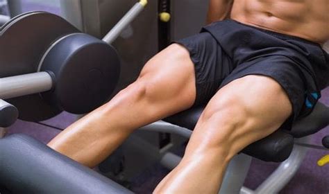 تمرینات چهارسر ران 8 حرکت برای تقویت عضله پا مجله ورزشی فیتامین