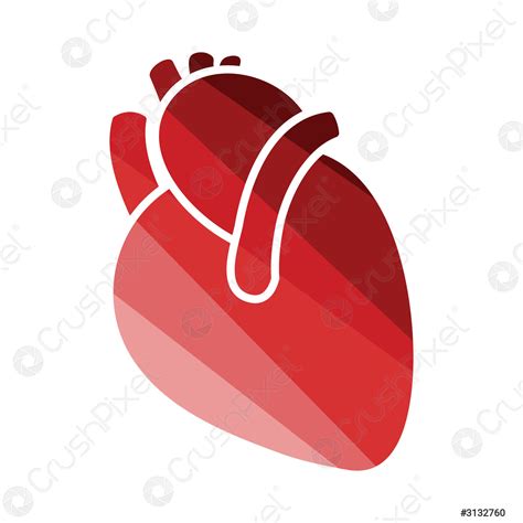 Human Heart Icon Stock Vector 3132760 Crushpixel