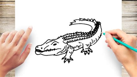 How To Draw Alligator Step By Step Easy For Kids Youtube