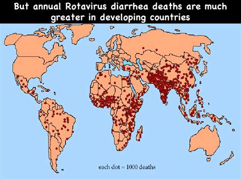 When a person is infected with a rotavirus, symptoms may include diarrhea, high fever, and lack of appetite. Rotavirus
