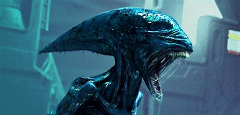 Alien 5 Film 2024 Moviepilotde