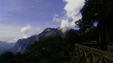 Trees And Trains Of Alishan National Scenic Area In Taiwan