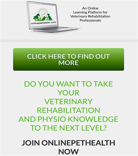 ONLINE PET HEALTH: online learning platform for veterinary professiona
