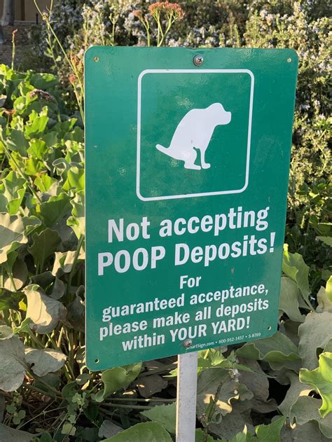 What Can I Do About Neighbors Dog Pooping In My Yard