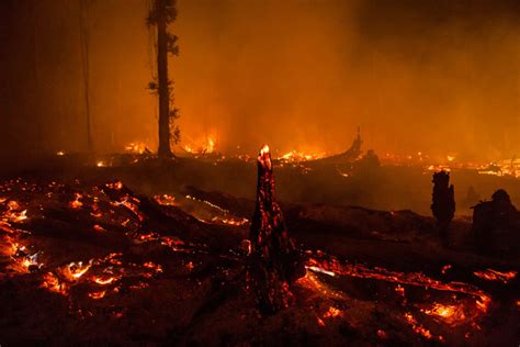 Kinemaster indonesia adalah mod dari kinemaster yang dikembangkan oleh satriyald. Forest fires hit Indonesia, as scientists warn blazes are ...