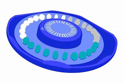 Clipart Birth Control Pill Contraceptive Oral Pills