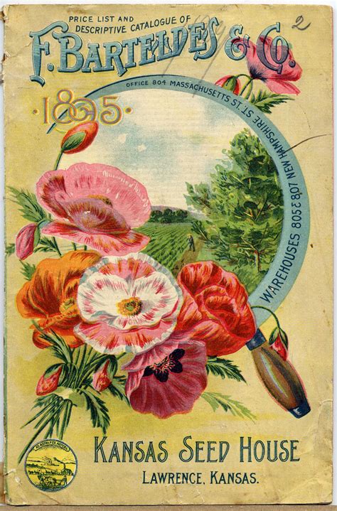 vintage pig clip art vintage seed catalog covers