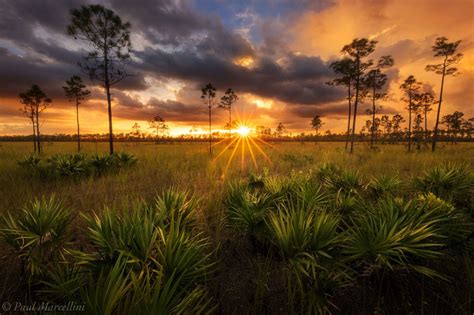 Florida Florida Landscape Photography By Paul Marcellini