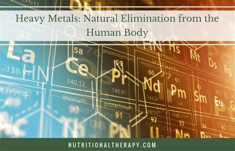 Heavy Metals Natural Elimination From The Human Body Nutritional