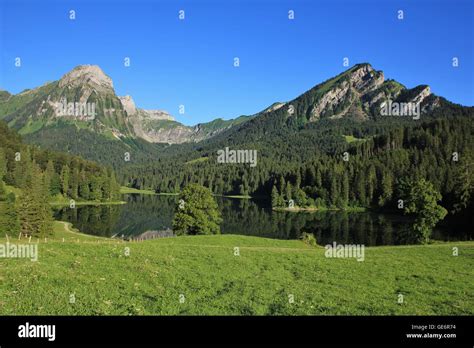 Lake Obersee And Mt Brunnelistock In Summer Swiss Alps Stock Photo Alamy