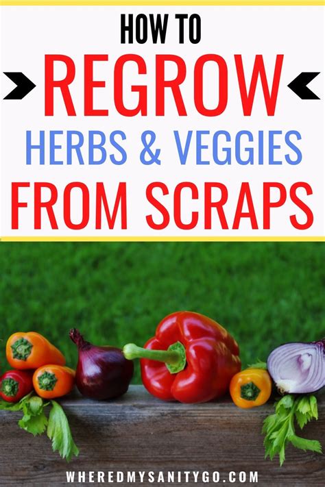 Herbs And Vegetables You Can Regrow In Your Garden From Kitchen Scraps