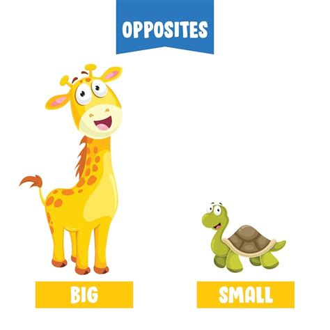 Premium Vector Opposite Adjectives With Cartoon Drawings