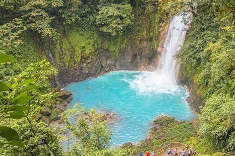 Rio Celeste Waterfall And Sloth Sanctuary Private Day Trip From Guanacaste