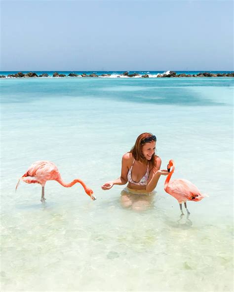 10 Best Beaches In Aruba Anna Everywhere