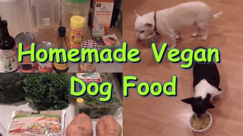 Vegan dog food. she said calmly. Homemade Dog food Recipe - Vegan/Plant-based - YouTube